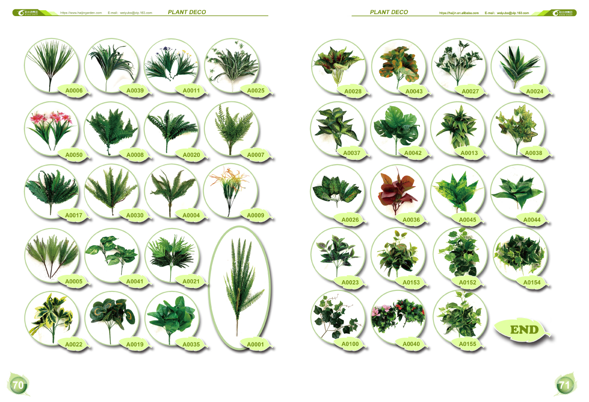 Plant Deco